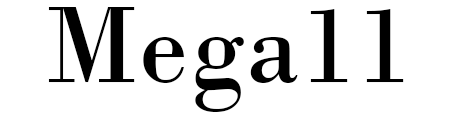 Mega11